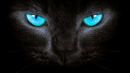 1754073 (a): :1920x1080